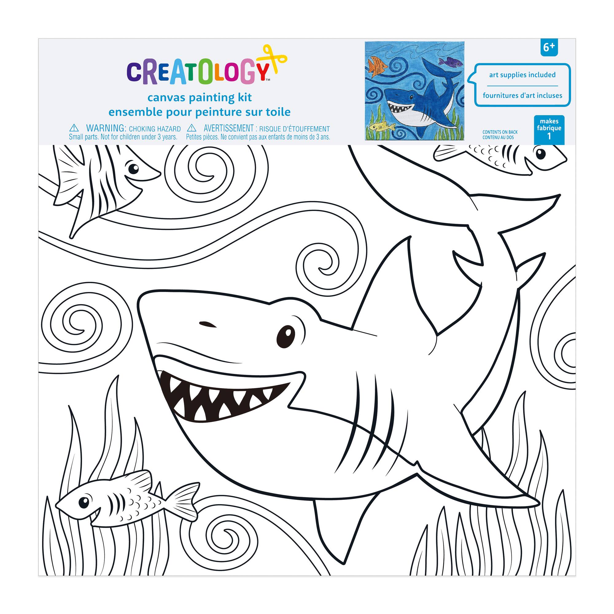 Assorted Canvas Paint Set by Creatology™